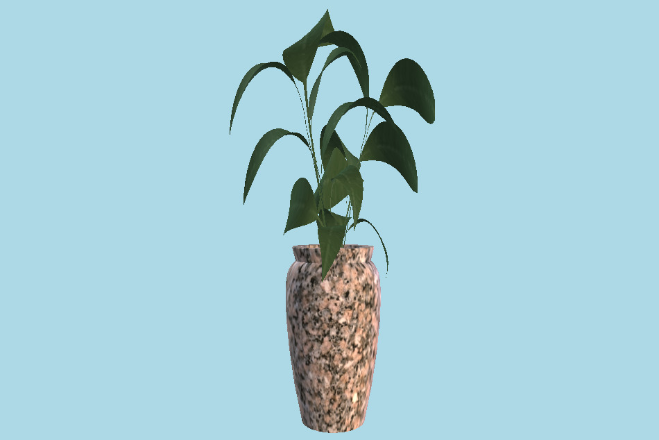 Vase Plant 3d model